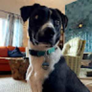 Meet your Posher, Trevor